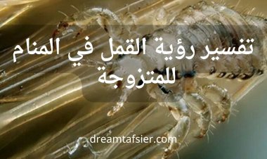 رؤية القمل في المنام للمتزوجة: دلالات متعددة بين الخير والشر