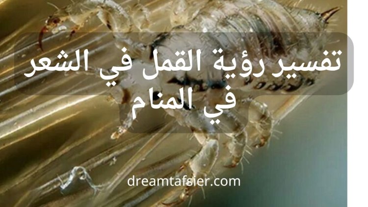 رؤية القمل في الشعر في المنام: التفسير الشامل والدلالات المتعددة