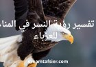 تفسير رؤية النسر في المنام للعزباء بالتفصيل