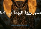 تفسير رؤية البومة في المنام- دلالات وتحذيرات