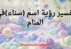 تفسير اسم سناء في المنام بالتفصيل