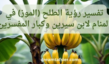 تفسير رؤية الطلح (الموز) في المنام لابن سيرين والنابلسي