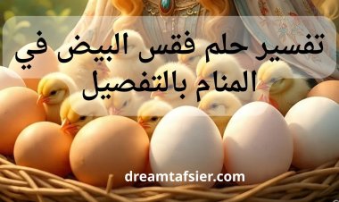 تفسير حلم فقس البيض في المنام بالتفصيل