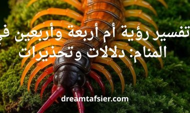 تفسير رؤية أم أربعة وأربعين في المنام: دلالات وتحذيرات