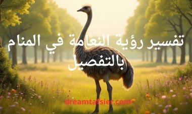 تفسير رؤية النعامة في المنام بالتفصيل