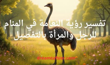 تفسير رؤية النعامة في المنام للرجل والمرأة بالتفصيل