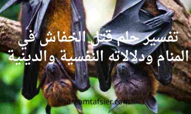 تفسير حلم قتل الخفاش في المنام ودلالاته النفسية والدينية