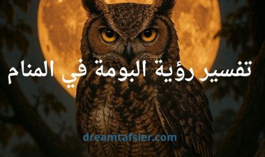 تفسير رؤية البومة في المنام- دلالات وتحذيرات