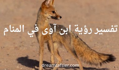 تفسير رؤية ابن آوى في المنام