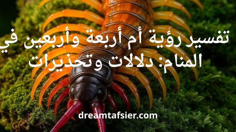 تفسير رؤية أم أربعة وأربعين في المنام: دلالات وتحذيرات