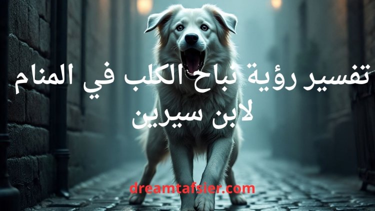 تفسير رؤية نباح الكلب في المنام لابن سيرين