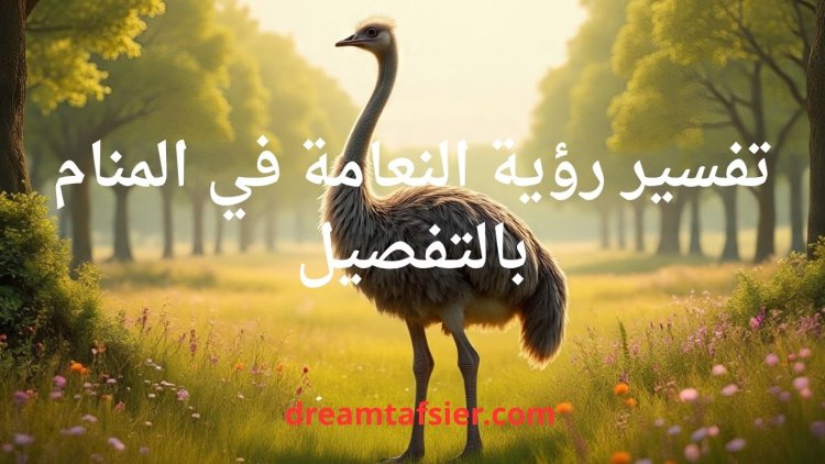 تفسير رؤية النعامة في المنام بالتفصيل