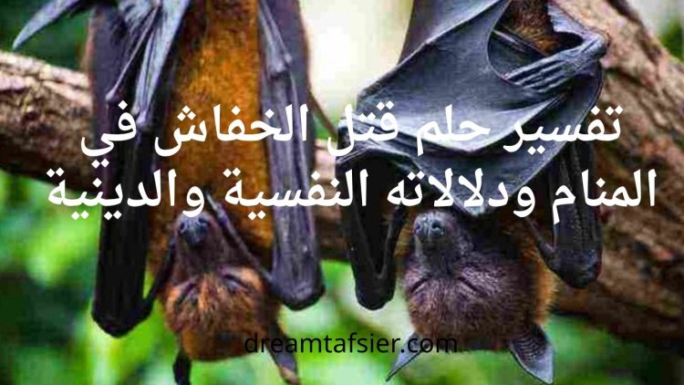 تفسير حلم قتل الخفاش في المنام ودلالاته النفسية والدينية