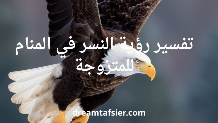 تفسير رؤية النسر في المنام للمتزوجة بالتفصيل