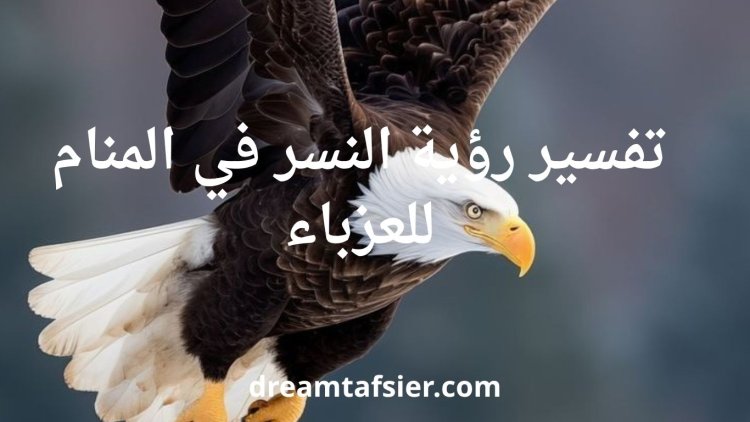 تفسير رؤية النسر في المنام للعزباء بالتفصيل