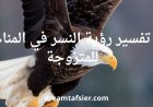 تفسير رؤية النسر في المنام للمتزوجة بالتفصيل