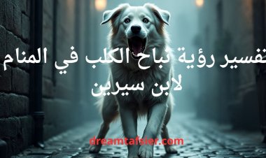 تفسير رؤية نباح الكلب في المنام لابن سيرين
