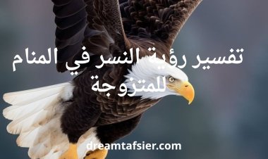 تفسير رؤية النسر في المنام للمتزوجة بالتفصيل
