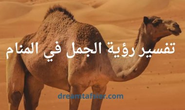 رؤية الجمل في المنام: تفسير مفصل ومثير للاهتمام