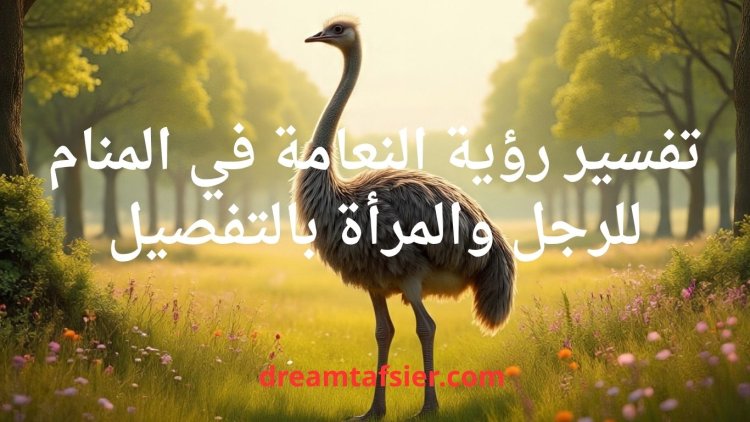 تفسير رؤية النعامة في المنام للرجل والمرأة بالتفصيل